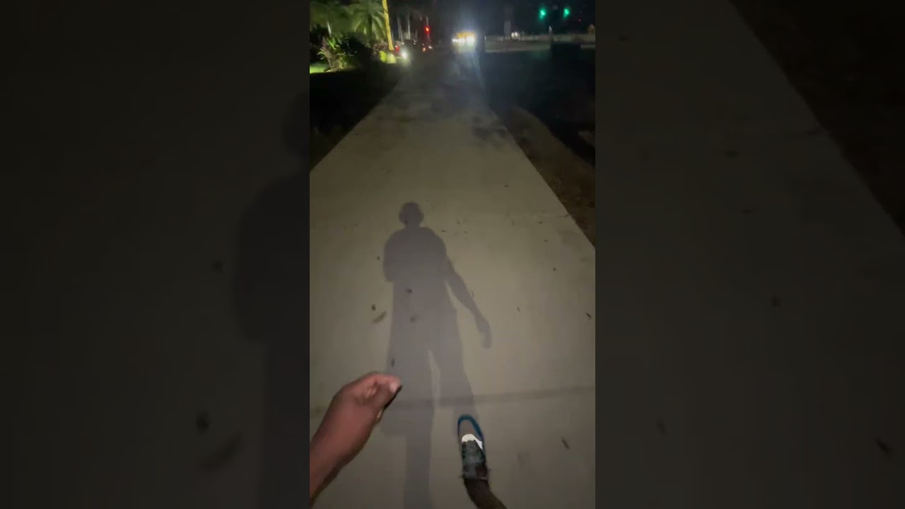 Walks With Ray (Chapter 1 Part 1)