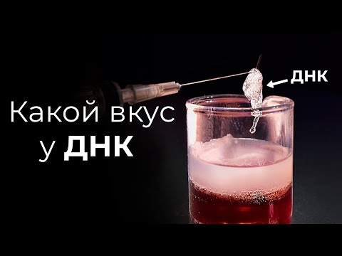 ДОСТАЛИ ДНК ИЗ ФРУКТОВ И ПОПРОБОВАЛИ НА ВКУС