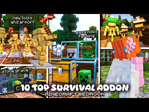TOP 10 Most