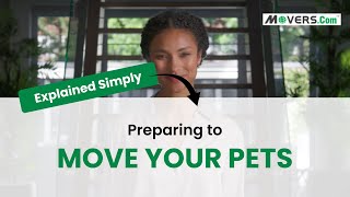 Preparing to Move With Pets | Stress-Free Tips for Dogs, Cats, and More