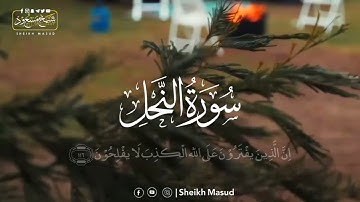 মন মুগ্ধকর কন্ঠে ❤️ সুরা আন নাহল (سورة النحل)😍 || শেখ মাসুদ  || Surah An Nahl By Sheikh Masud
