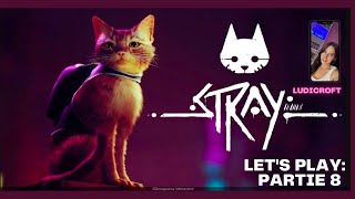 Stray - À la recherche de Clémentine et un chat voleur ! | Let's Play #8 screenshot 2