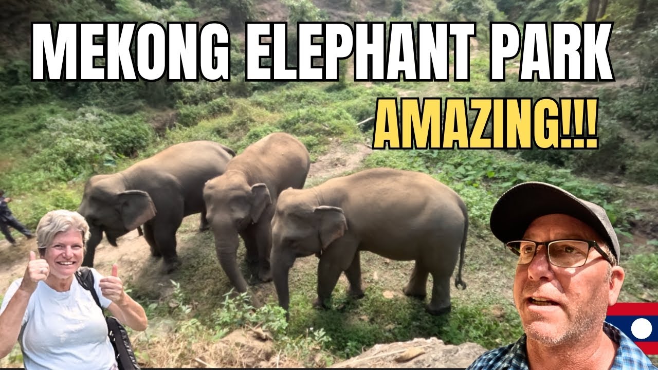 Visit the Mekong Elephant Park - Pakbeng, Laos Travel.