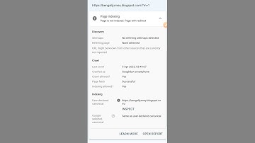 Page With Redirect | Blogger Index Problem Salve