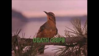 Spread Eagle Cross The Pink Room-Death Grips/Twin Peaks mashup