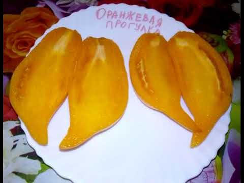 Томат Оранжевая прогулка Orange Walk - YouTube