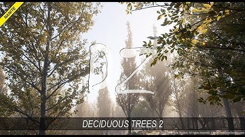 DZ Trees - Deciduous Trees 2 (fall, reduced leaves)