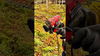 Securing Grape Vines with Perfect Trellis Ties 🍇🌿 #shorts