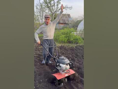 ПОДАРЮ ЕЙ КАРТОШКУ 🤣 - YouTube