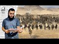 من هم الروم الدولة البيزنطية القسطنطينية رومية هرقل قيصر 