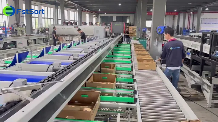 Tomato color sorter,tomato optical sorter,vegetable washing grading machine,tomato optical grader