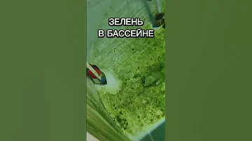 Почему бассейн в УЗВ зеленеет