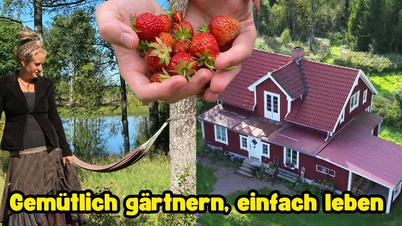 Gemütlich gärtnern, einfach leben - Unser Hof in Schweden - Ruhige & regnerische Sommertage im Wald