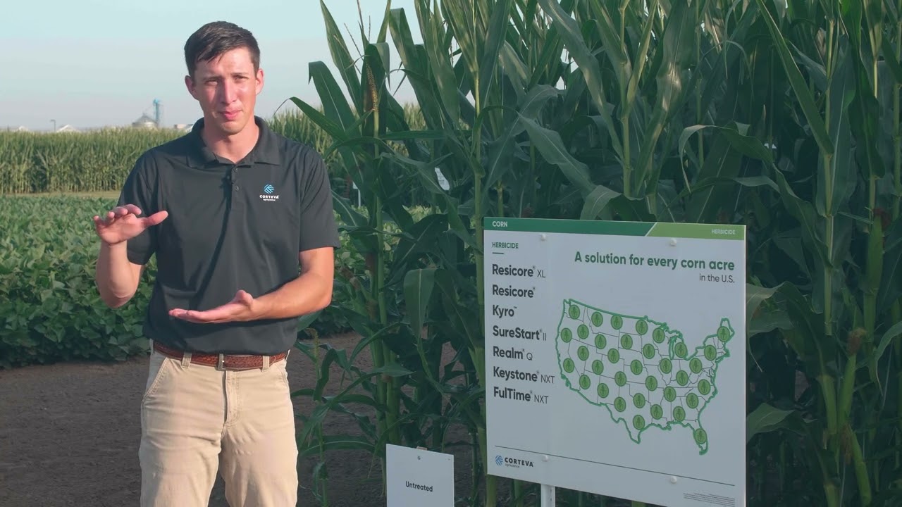 Controlling Weeds in Corn Long Term