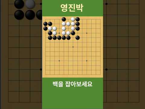 바둑 묘수 사활 (자충으로 유도하는 묘수가 있다) 백을 잡아보세요