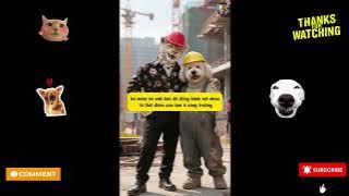 Mimi's father's journey to founding the company | Bi Ba