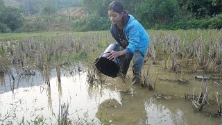 Poor girl. The process of finding and harvesting green vegetables and fish to sell - Green forest