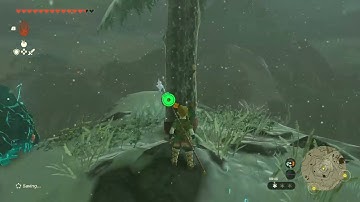 [DAY 569] of finding one korok seed in TotK everyday until we get them all