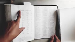  Parallel KJV and Amplified Bible