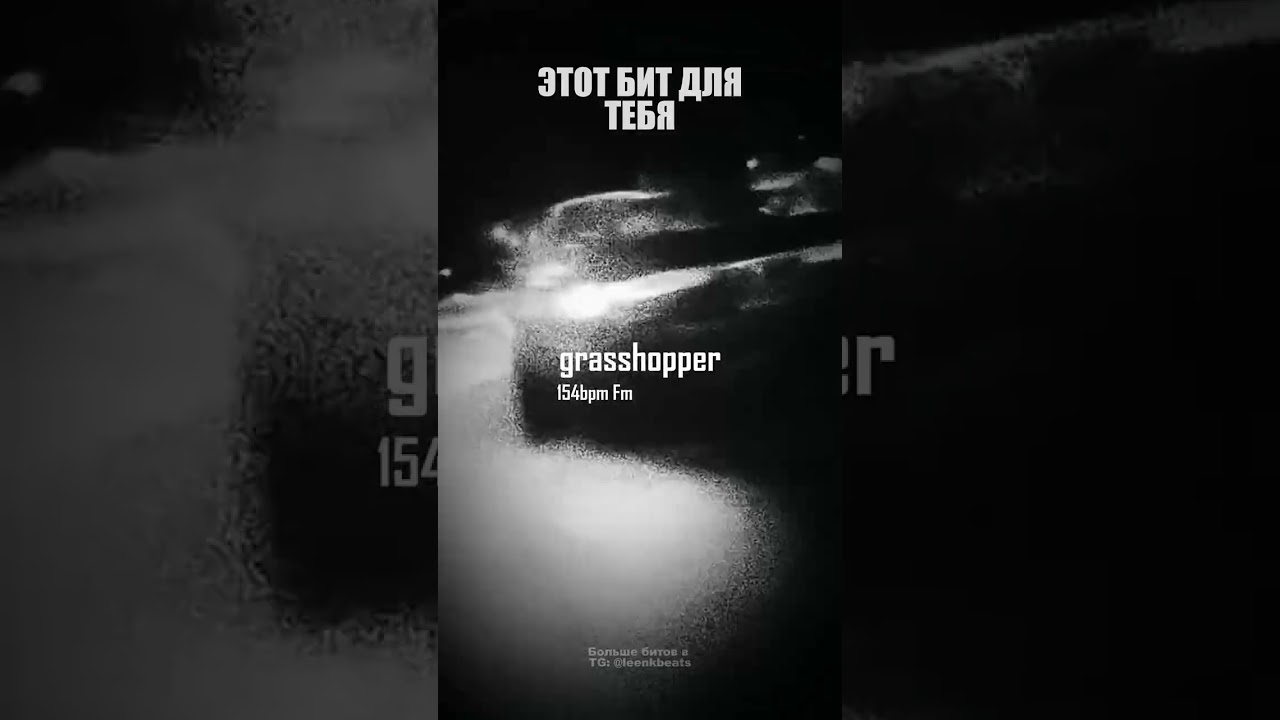 [FREE] ICEGERGERT x KIZARU TYPE BEAT - Grasshopper (prod. leenk) 