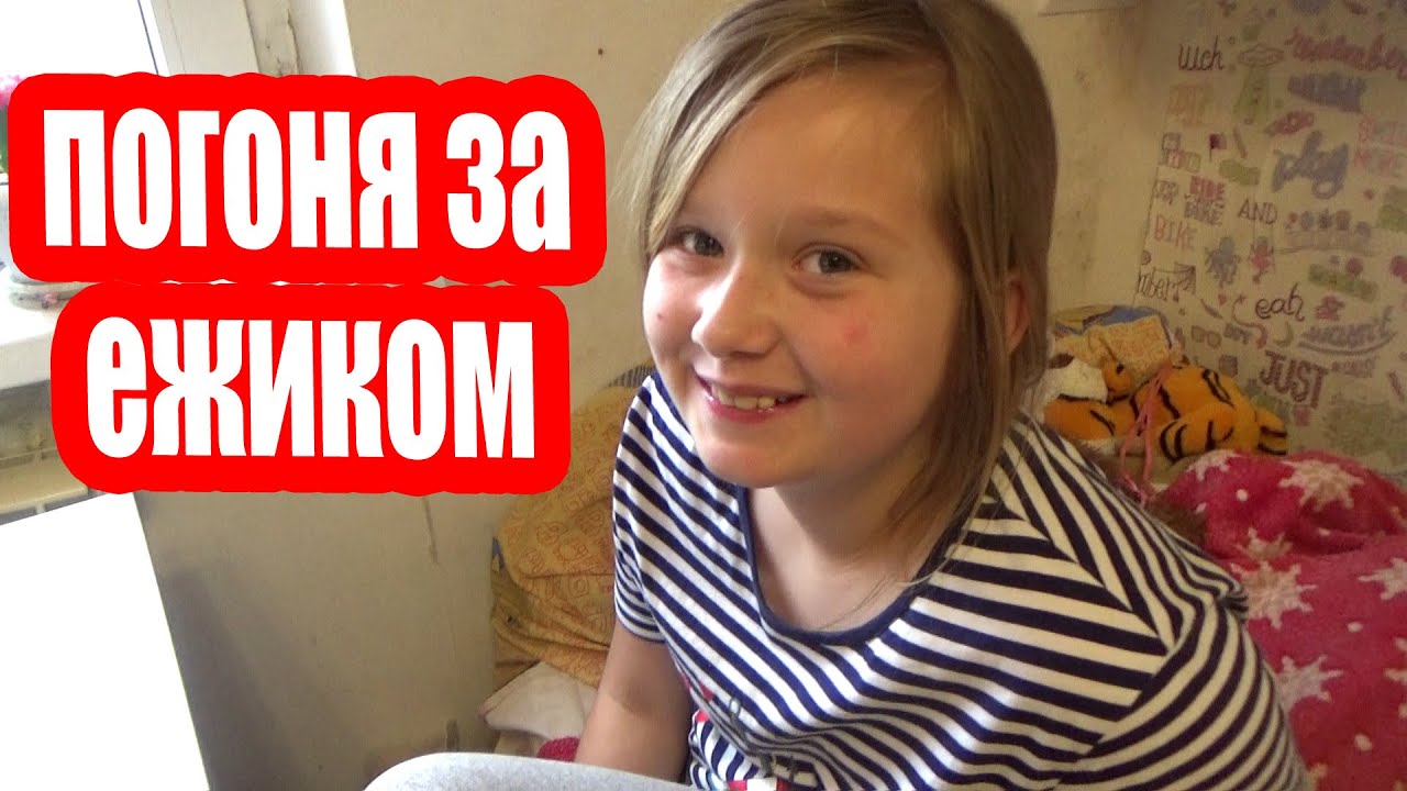 влог Маму кошку не заменить - YouTube