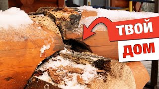 Как заменить сгнившие бревна в деревянном доме: советы профессионалов