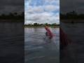 🔴SPOT MANCING PINGGIRAN BANYAK IKANNYA#fishing #jaringgondrong #ikanbaronang #mancing