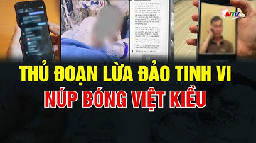 Thủ đoạn lừa đảo tinh vi núp bóng Việt kiều