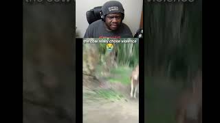 bro was NOT stopping