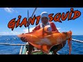 catching giant squid in deep sea