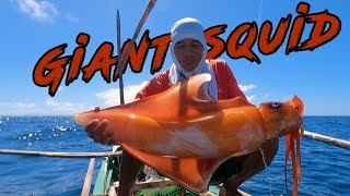 catching Diamond back squid or giant squid