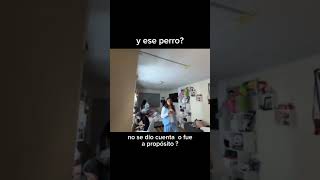 Y Ese Perro? Descuido De Amiga De