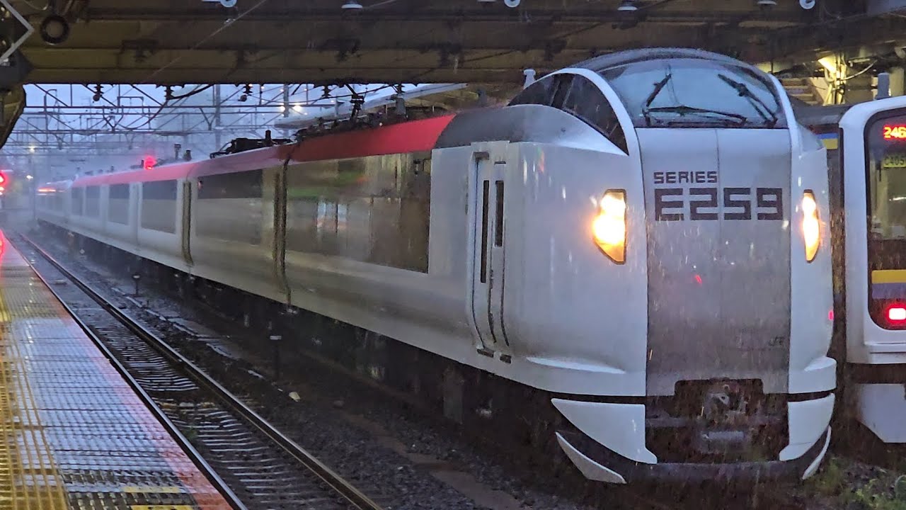 【特急成田エクスプレス43号】2043M E259系Ne002編成 Ne008編成 成田駅 通過シーン