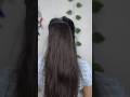 Voluming Ponytail Hacks 😱 #ponytail #hairstyles #shorts