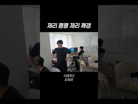 <strong>제리</strong> 킁킁 <strong>제리</strong> 깨갱