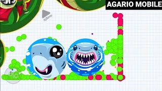 اقاريو-قيم بالصوت القرش وابنه😂أغرب انتقام😅😱AGARIO/SHARK&HIS SON😂FUNNY UNCUT