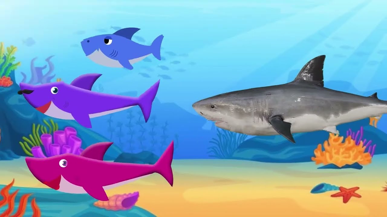 Baby Shark DOO DOO DOO All Songs | Wheel on the bus | +Compilation | Twinkle twinkle little star