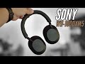 LOS REYES DEL SEGMENTO? - Sony WH1000XM5