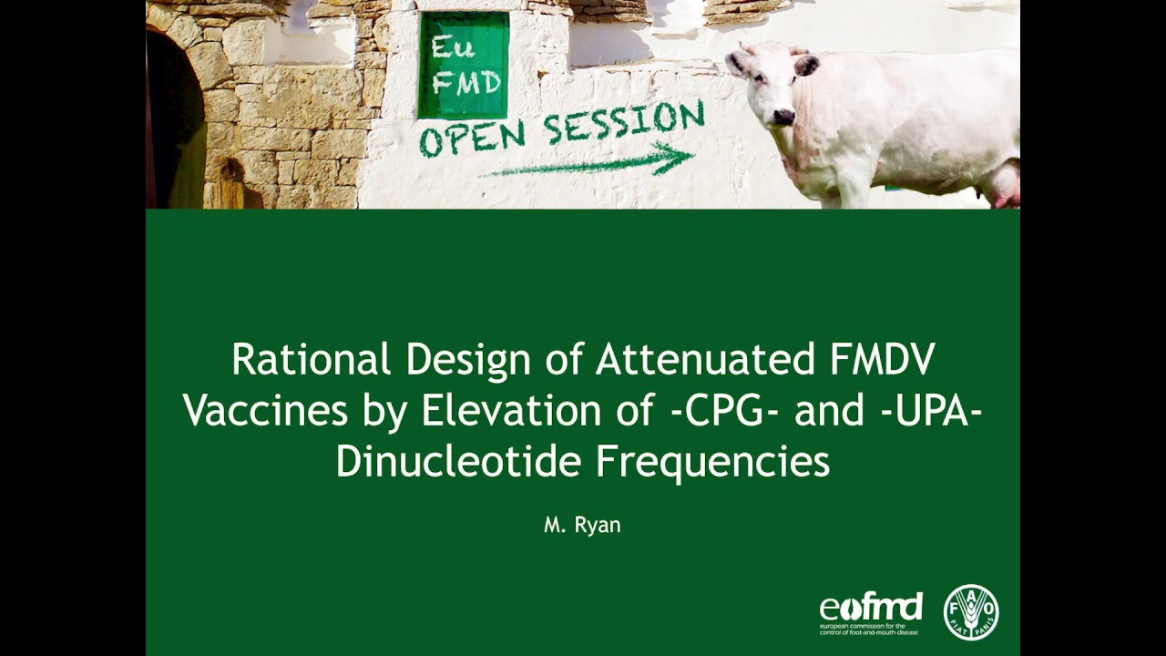 M. Ryan - Rational design of attenuated FMDV vaccines by elevation of –CPG- and –UPA-Dinucleotide f.