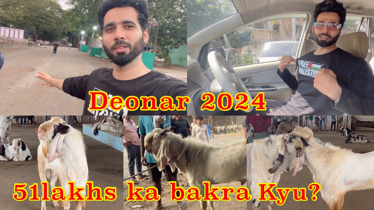 51 Lakhs ka ek bakra😨 kyu itna mehenga? Deonar ka gate hogaya open😍 Deonar Mandi 2024 |ShezaanShaikh