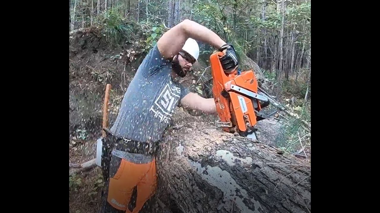 Felling A Dangerous (And Massive) Leaning Tree In A Swamp - YouTube