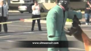 Health District Bite Prevention with Sit Means Sit Dog Training