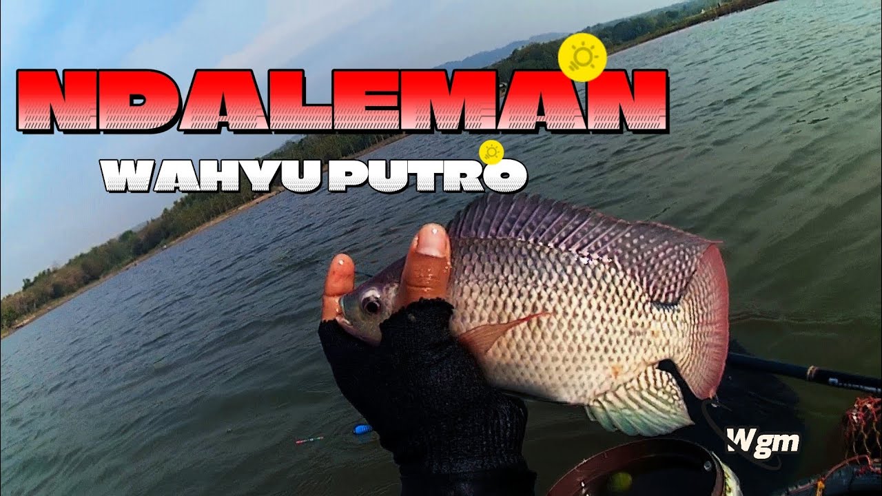 Di kasih kejutan lagi‼️ Update spot Wgm terkini