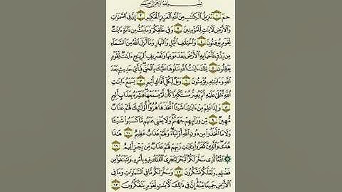سورة الجاثية من الآية ١ إلى الآية ١٣بصوت القارئ ماهر المعيقلي