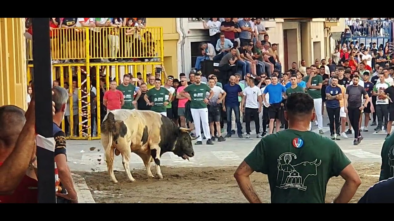 Festejos Populares Lliria 2025.Toro Cerril Ganaderia Valdellan G-1.17/05