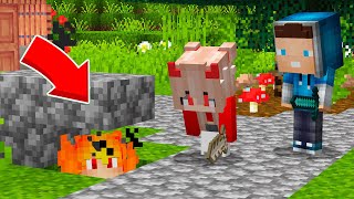 :        !  Minecraft