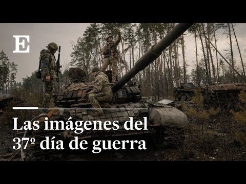 Vídeo: Poligàmia en rus: un marit - dues famílies