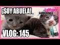 VLOG 145: NACIMIENTO DE MIS GATITOS. Al fin fui abuela.