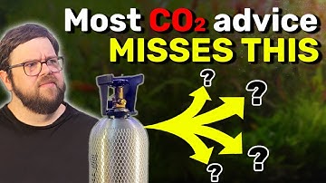 CO2-injectie in een aquarium: een eerlijk gesprek