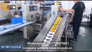 Fruit Packing Machine
